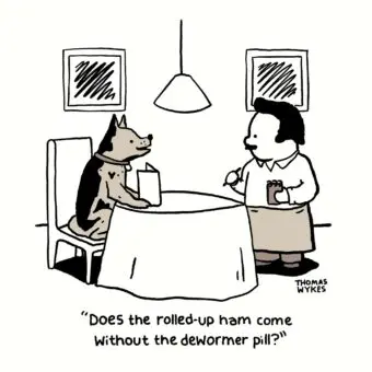 Give your dog a pill. Cartoon of dog ordering ham at a restaurant. Asking if the ham comes without the dewormer.