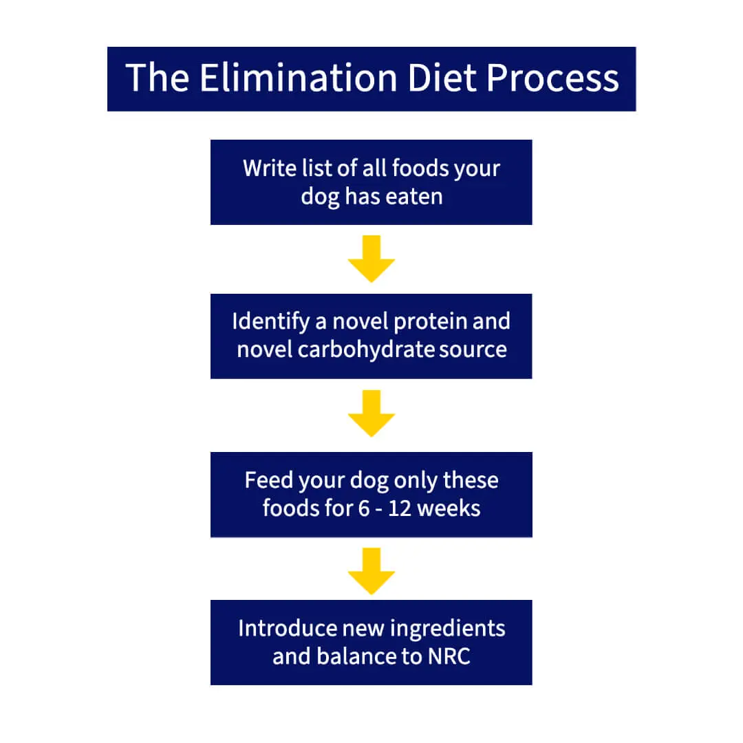 Kristina Johansen | Canine Nutritionist and Consultant
