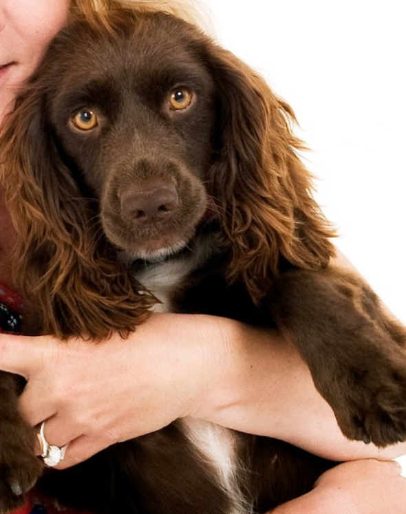 Kristina Johansen | Canine Nutritionist and Consultant