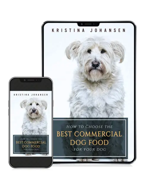 How to Choose the Best Dog Food