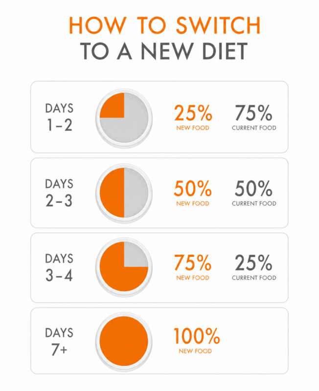 Kristina Johansen | Canine Nutritionist and Consultant