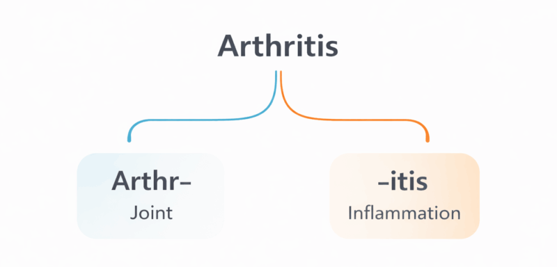 Arthritis expalined Arthr = joint itis = inflammation