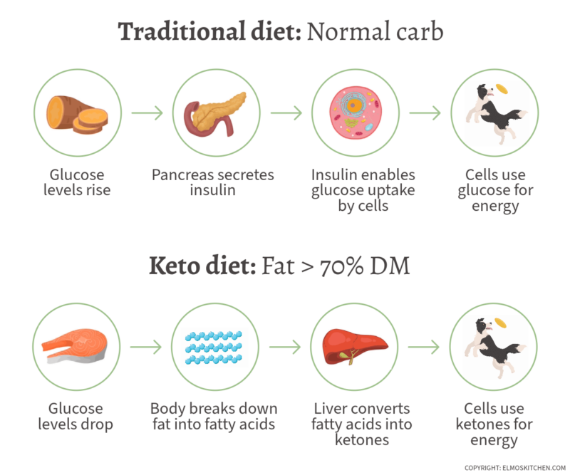 an illustration showing the steps for the body to enter ketosis compared to a traditional diet