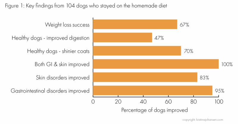 Bar chart showing provements on homemade dog food